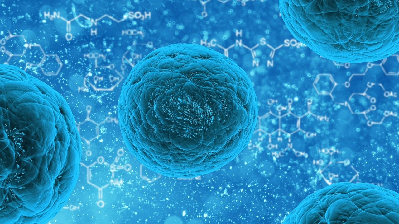 entdecken sie die wichtigsten informationen und trends im gesundheitswesen. erfahren sie mehr über innovative lösungen, patientenversorgung und die zukunft der medizin in unserem umfassenden leitfaden.