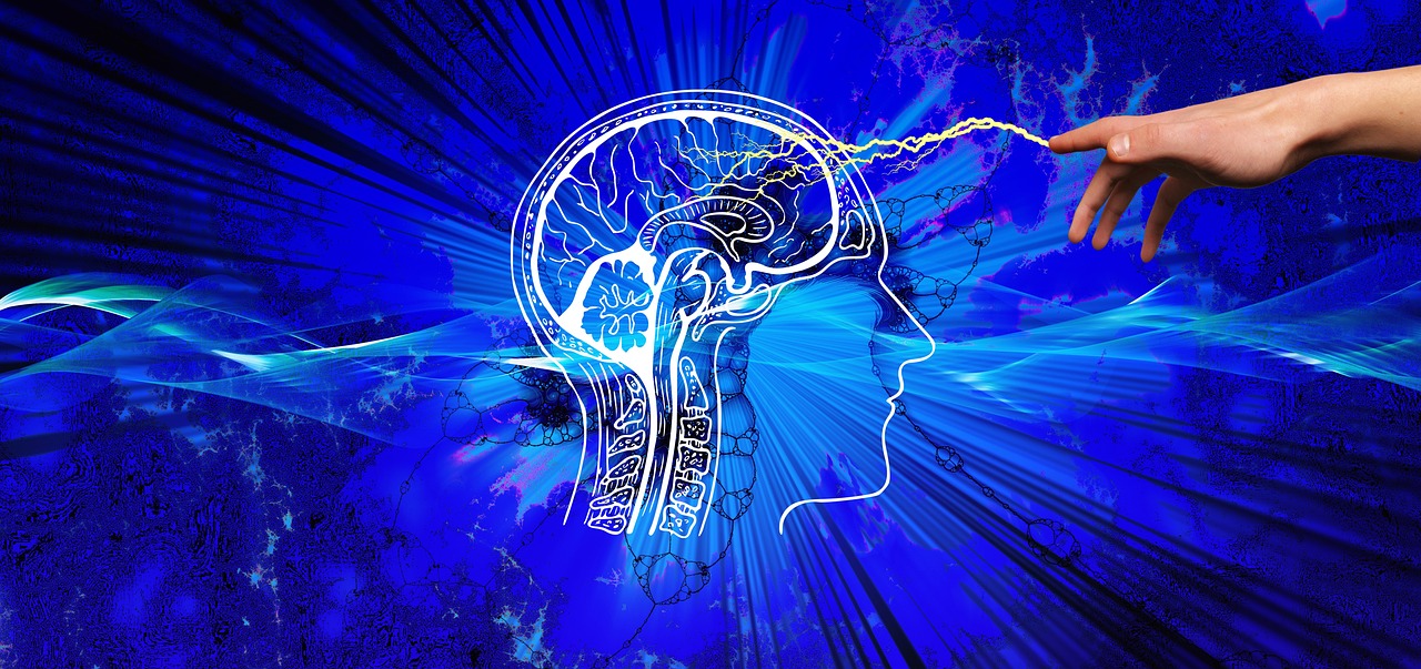 entdecken sie die welt der programmierer! lernen sie die neuesten technologien, programmiertechniken und branchen-insights kennen, um ihre fähigkeiten zu erweitern und ihre karriere im bereich softwareentwicklung voranzutreiben.