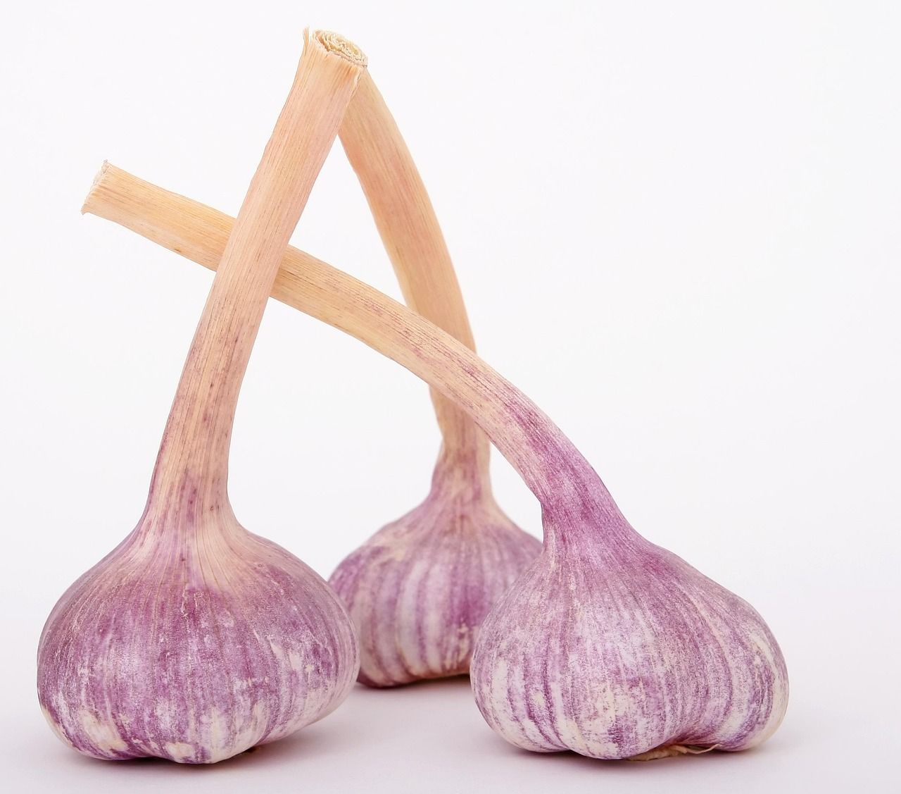 entdecken sie die faszinierende welt der gewürze! erleben sie, wie vielfältig und aromatisch gewürze ihre küche bereichern können. von klassischen bis exotischen sorten – verleihen sie ihren gerichten neuen schwung und geschmack.