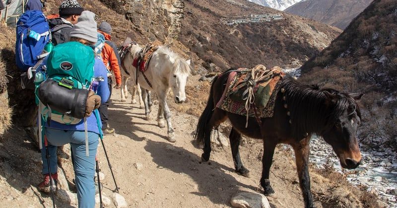 Mules: Die trendigen Schuhe für jeden Anlass im Überblick