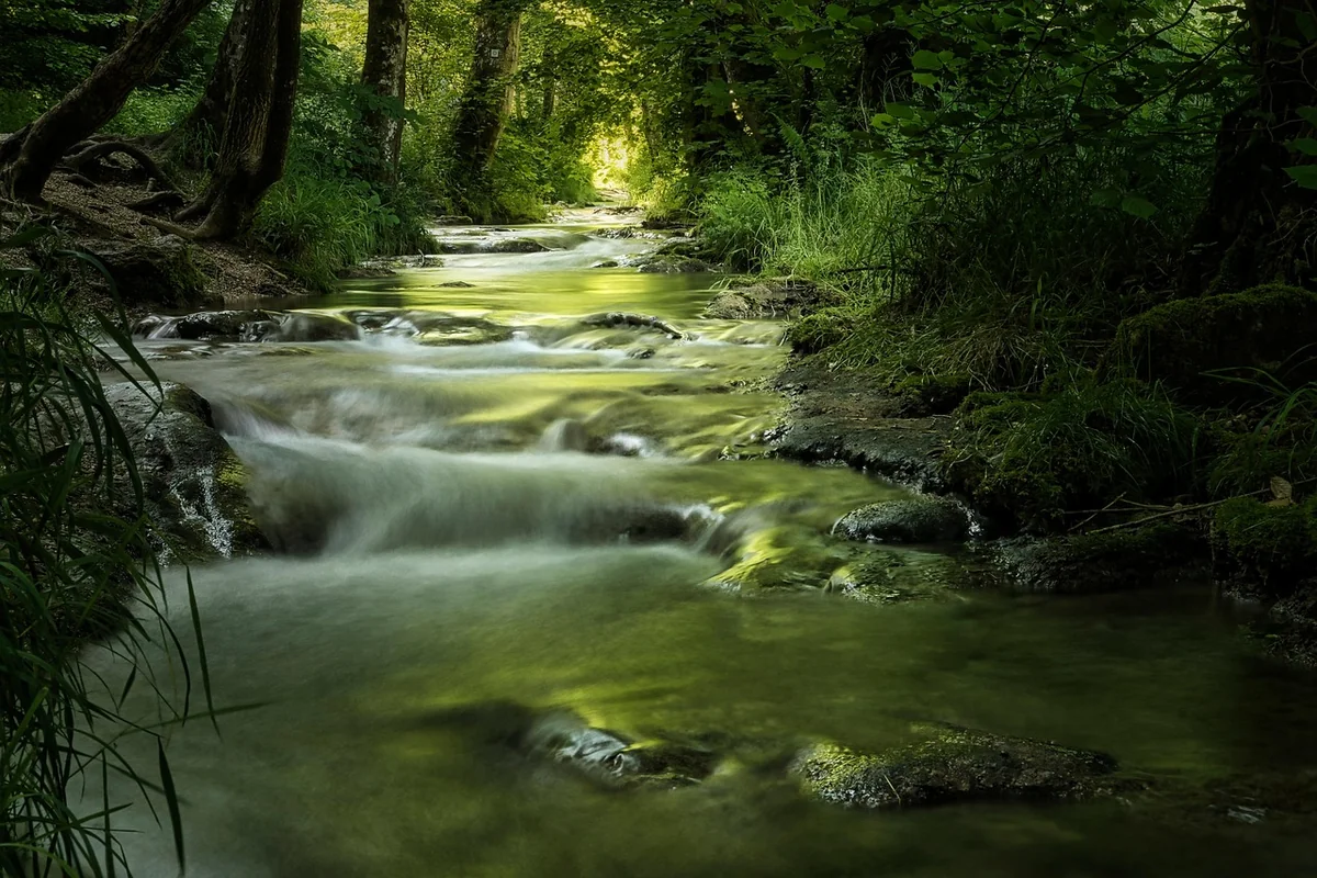 Becken, Sauna, Spa: Was kostet und was inklusive ist