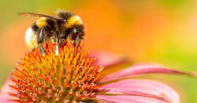 Farben und Gestaltung: So wirkt der Raum größer